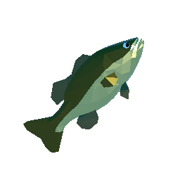 Bass