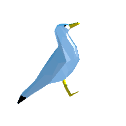 Seagull