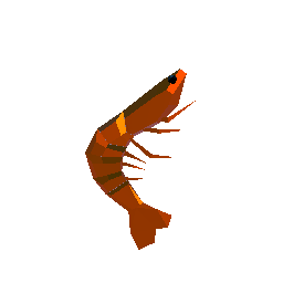 Shrimp